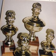 Cover image of Statuette Trophy